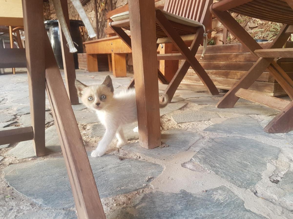 Villa La Vista De Tefia Bagian luar foto