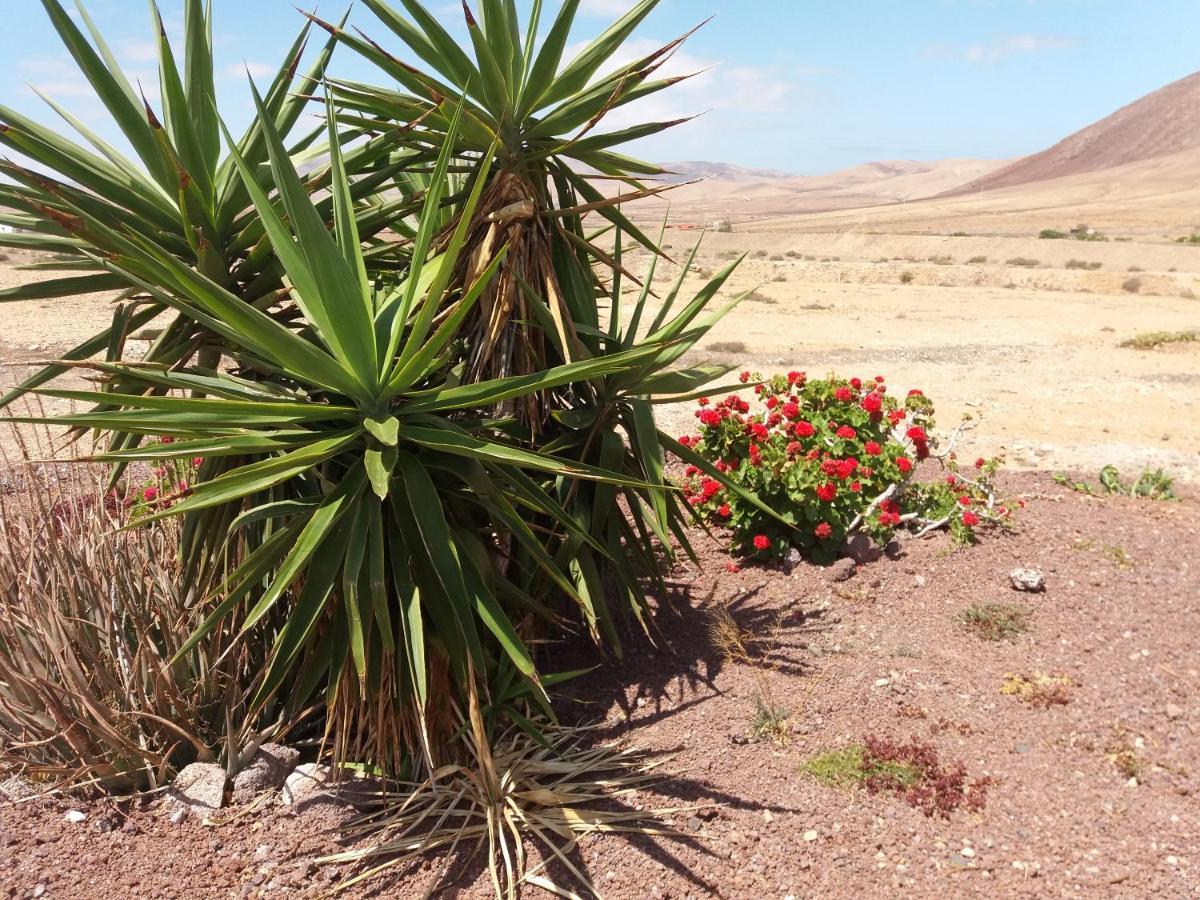 Villa La Vista De Tefia Bagian luar foto